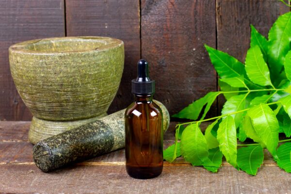 Cours Ayurveda